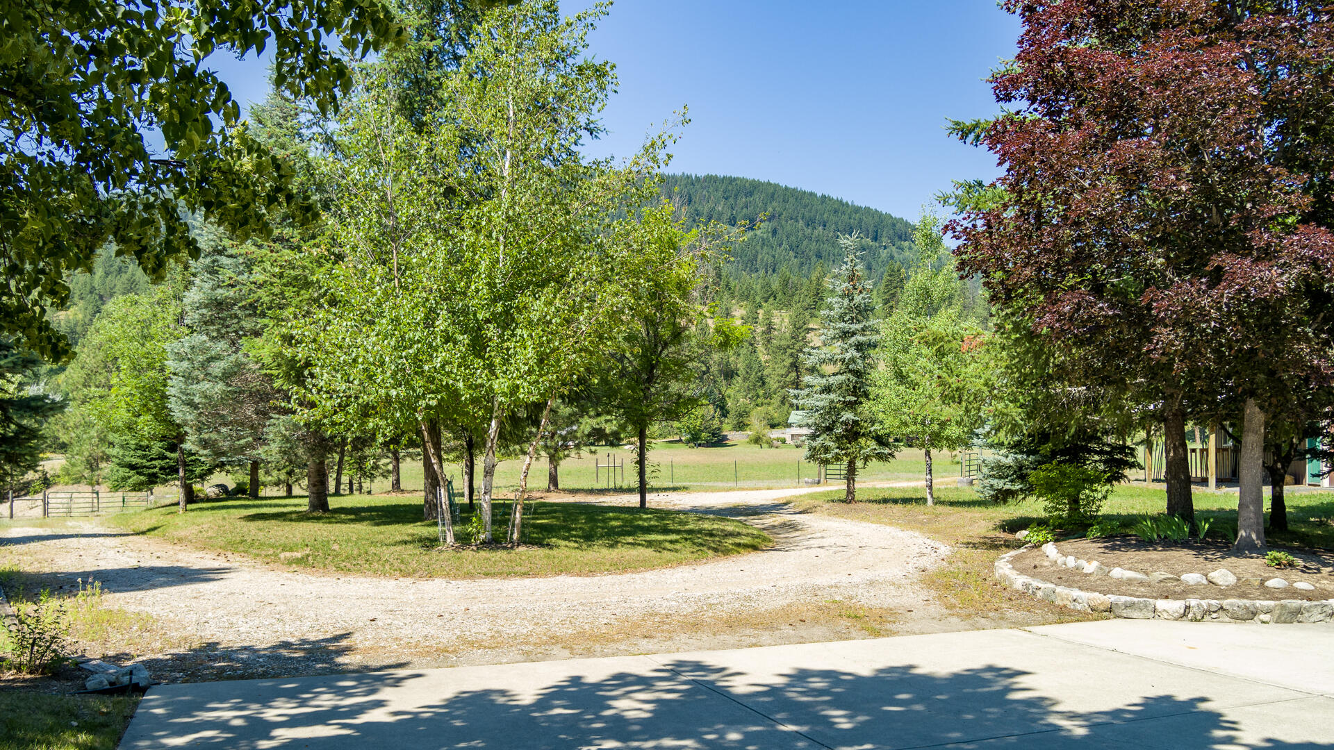
                        Property photograph at
                        169 BARNABY CREEK SOUTH SIDE RD
                      