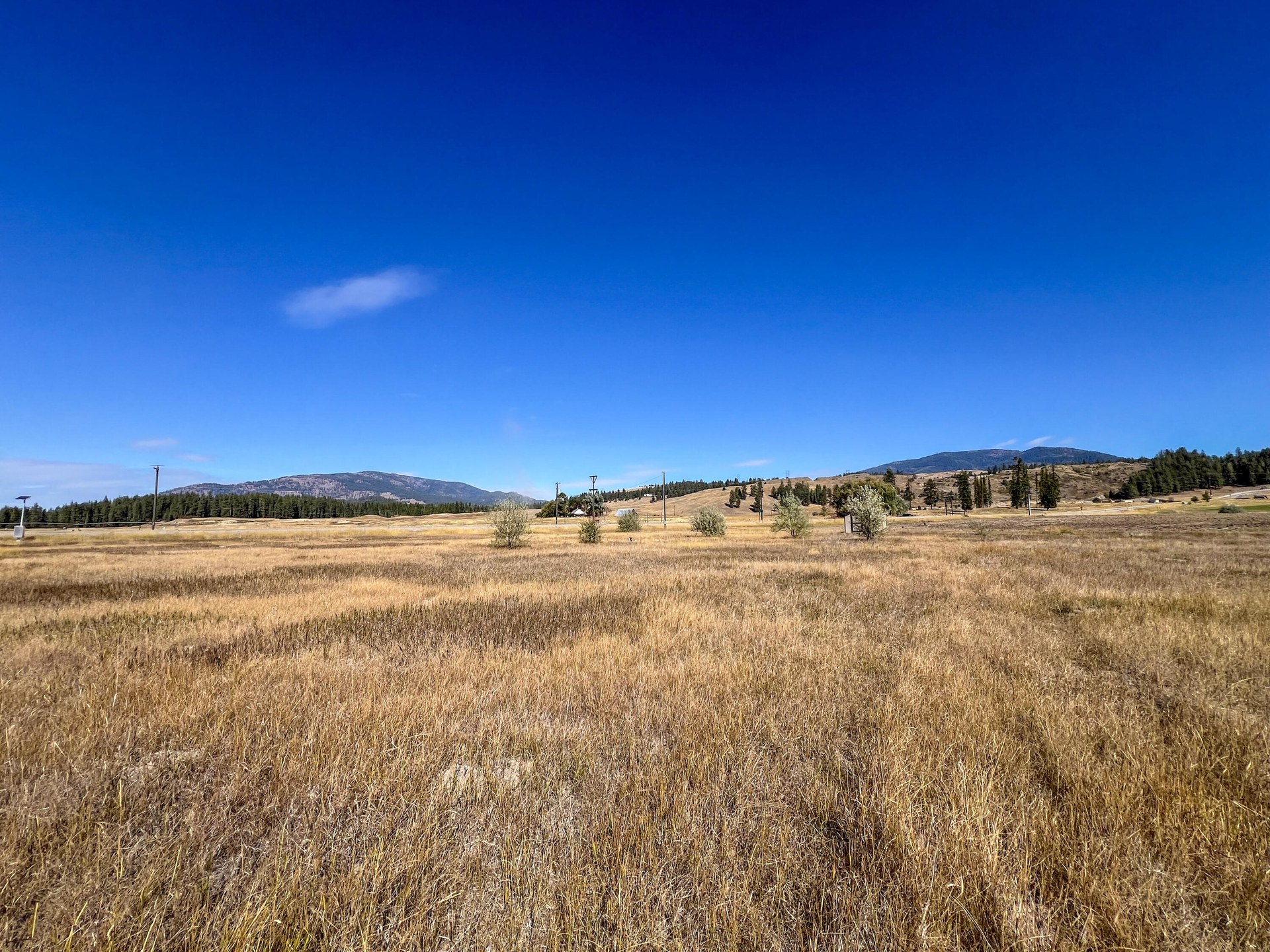
                        Property photograph at
                        170 - TBD E HWY 20
                      