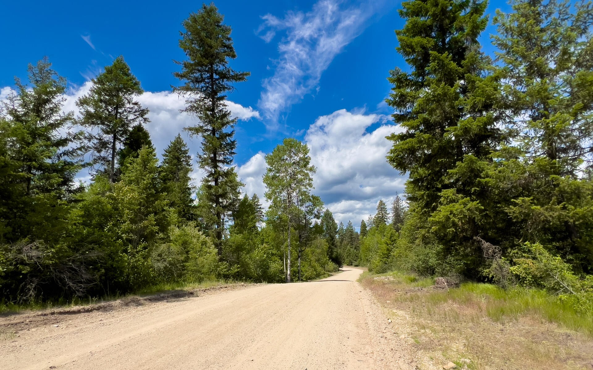 
                        Property photograph at
                        3124 ORIENT CUTOFF RD
                      