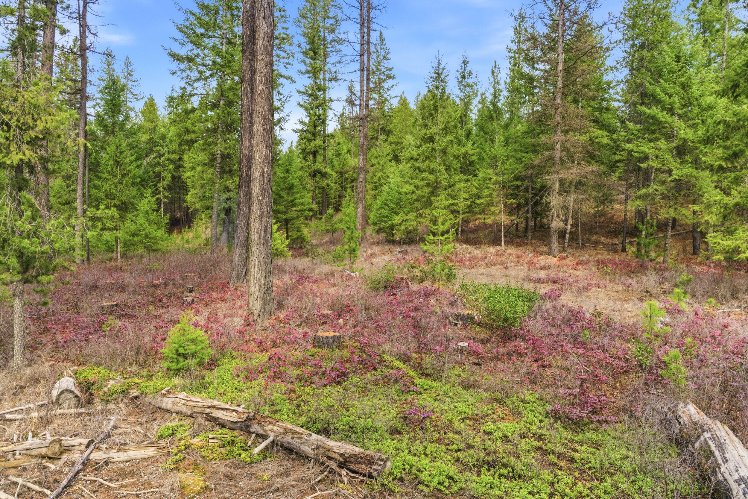 
                        Property photograph at
                        28XX BURNT VALLEY (20AC) RD
                      
