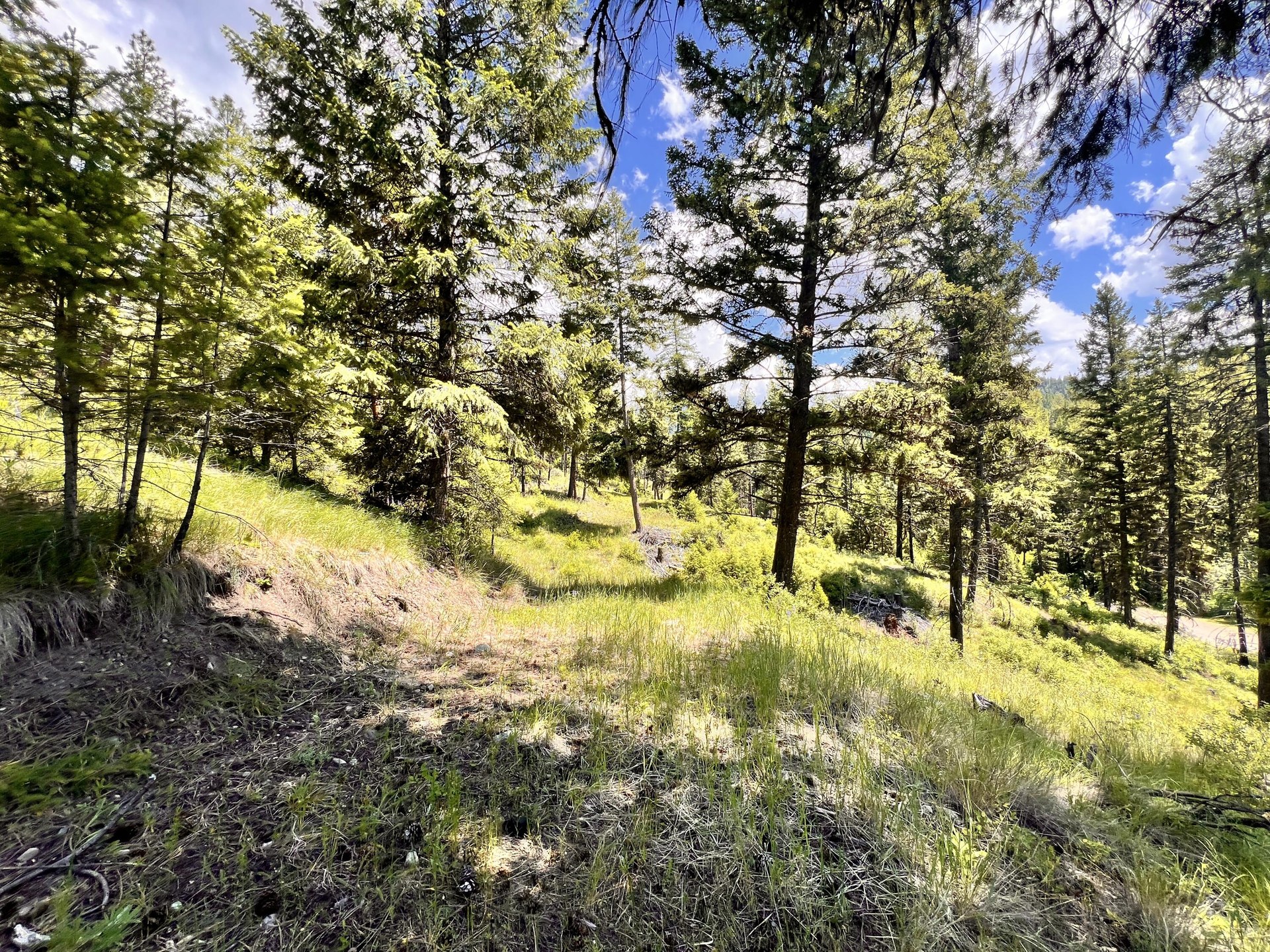 
                        Property photograph at
                        TBD OLD KETTLE FALLS RD
                      