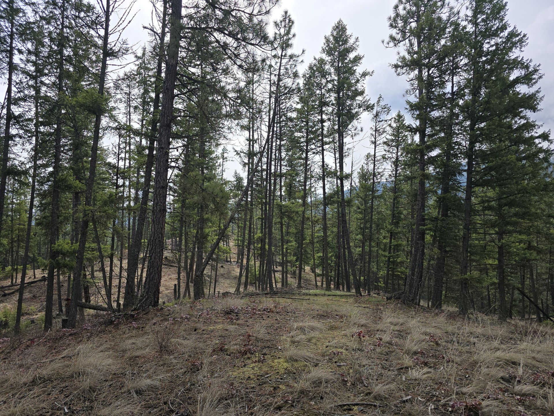 
                        Property photograph at
                        3XX GOLD CREEK RD
                      