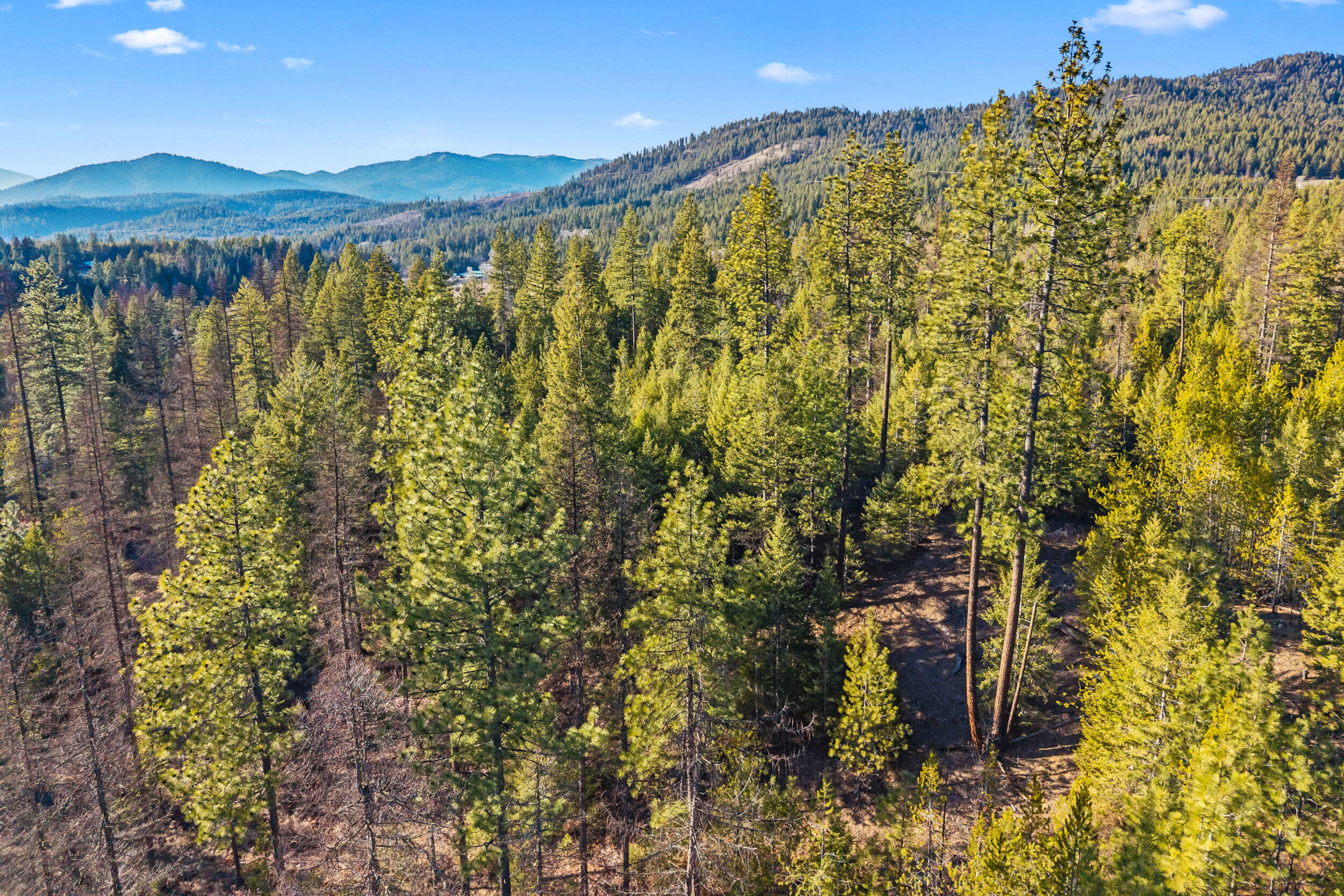 
                        Property photograph at
                        2845 BURNT VALLEY (18.5AC) RD
                      
