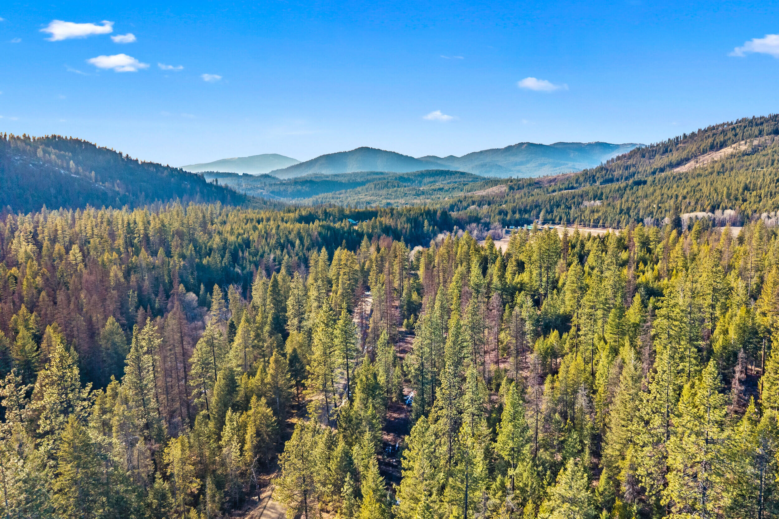
                        Property photograph at
                        2845 BURNT VALLEY (18.5AC) RD
                      