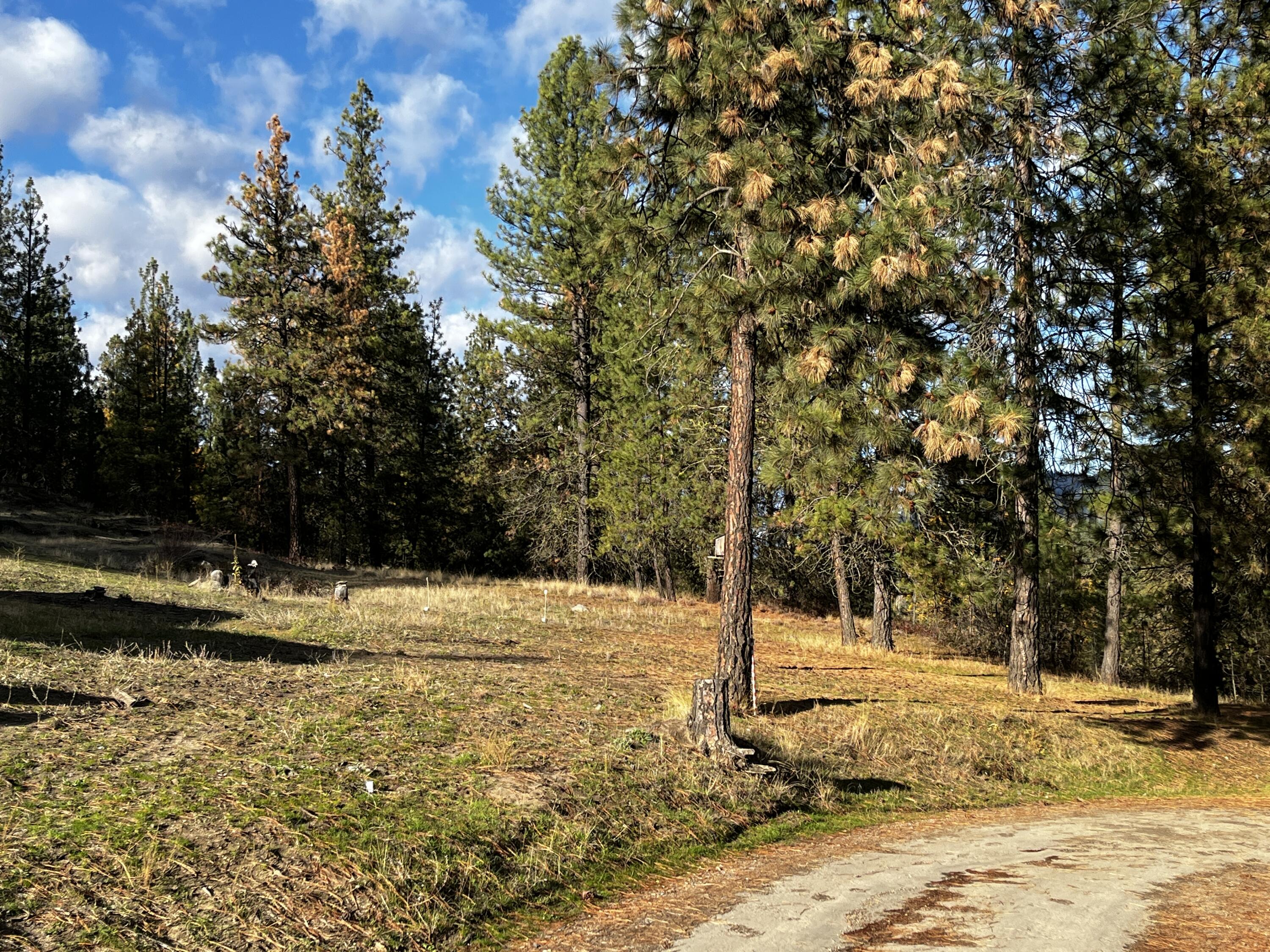 
                        Property photograph at
                        18 BJS PL
                      