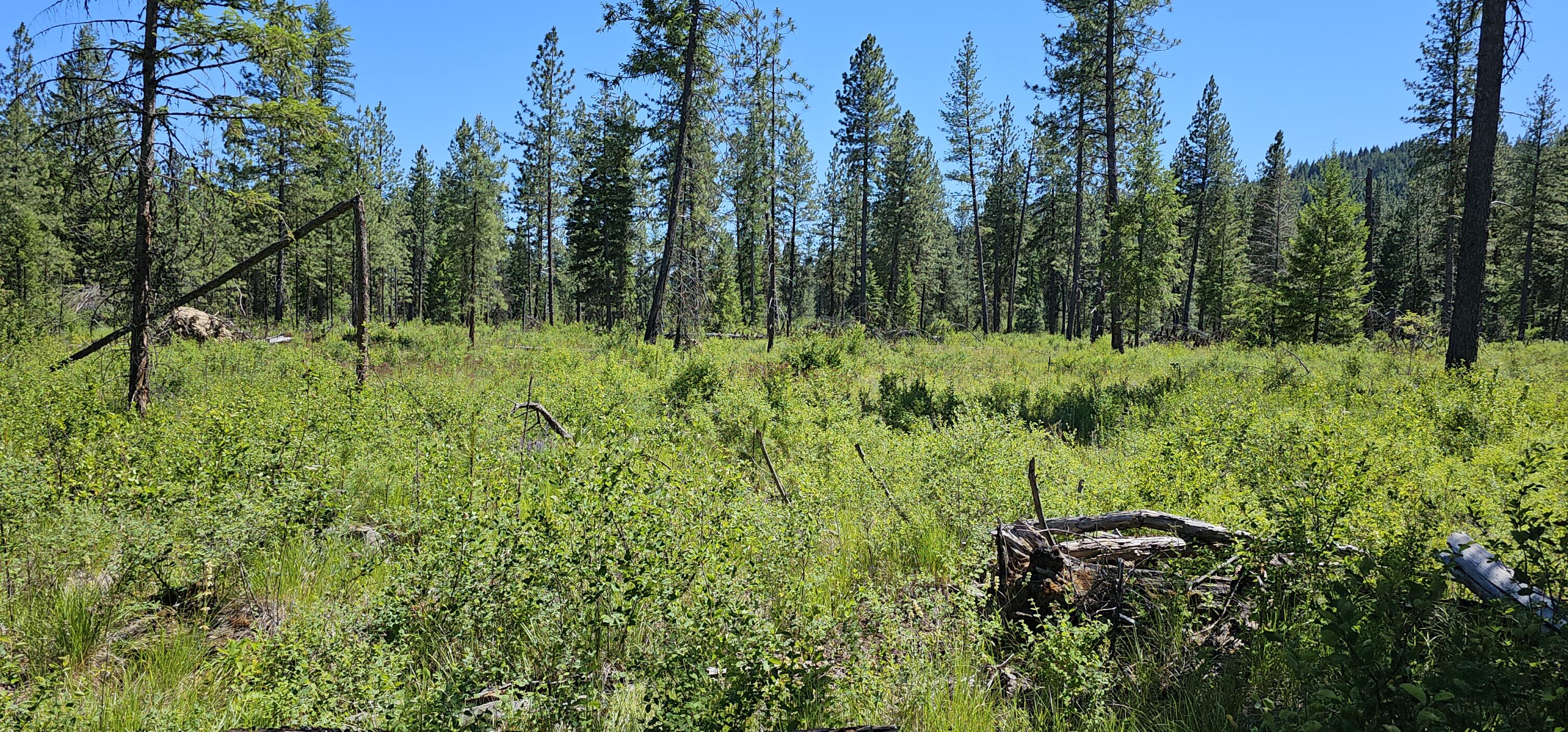 
                        Property photograph at
                        20X LYNX CREEK RD
                      