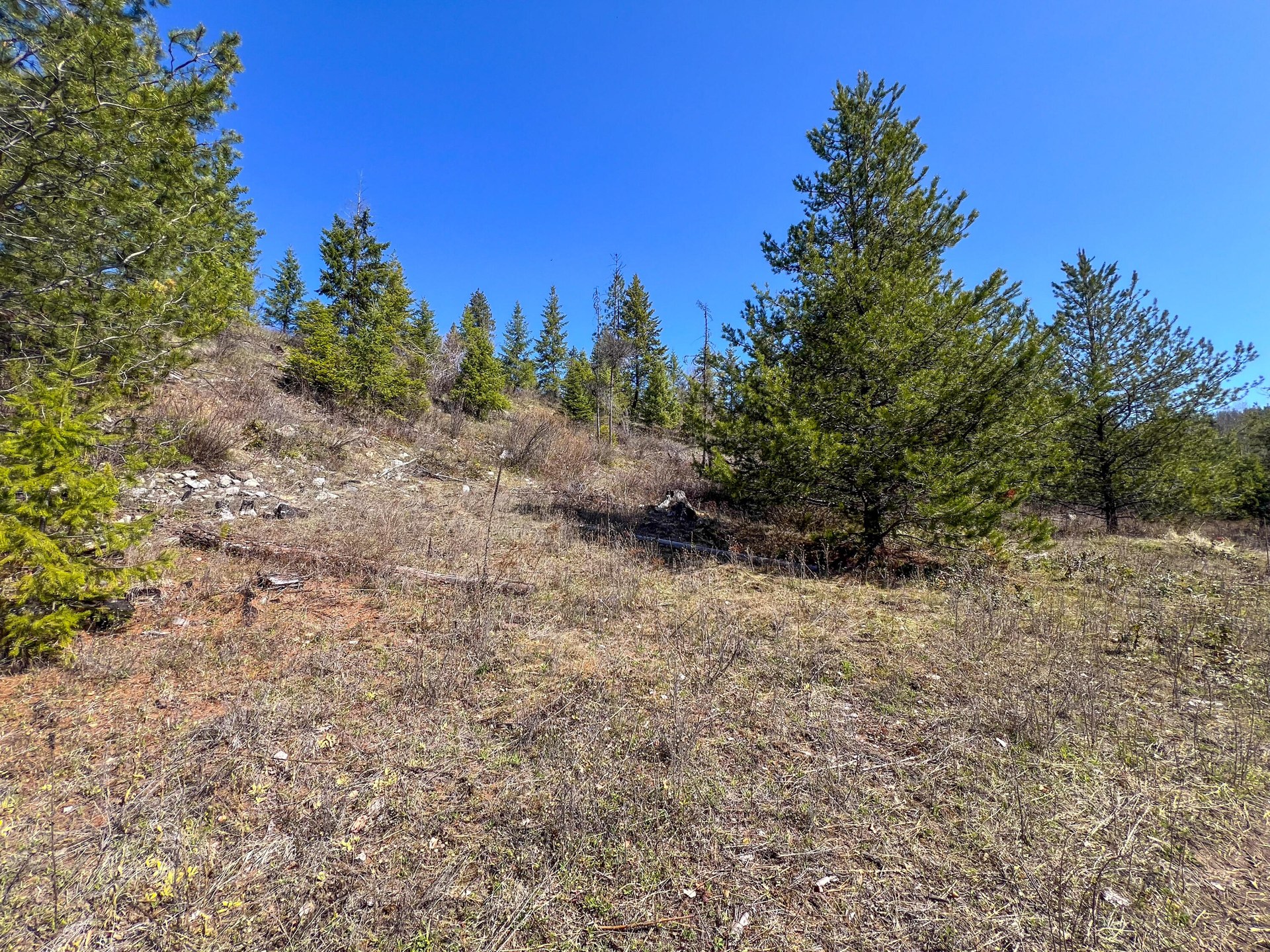 
                        Property photograph at
                        26XX FLOWERY TRAIL RD
                      