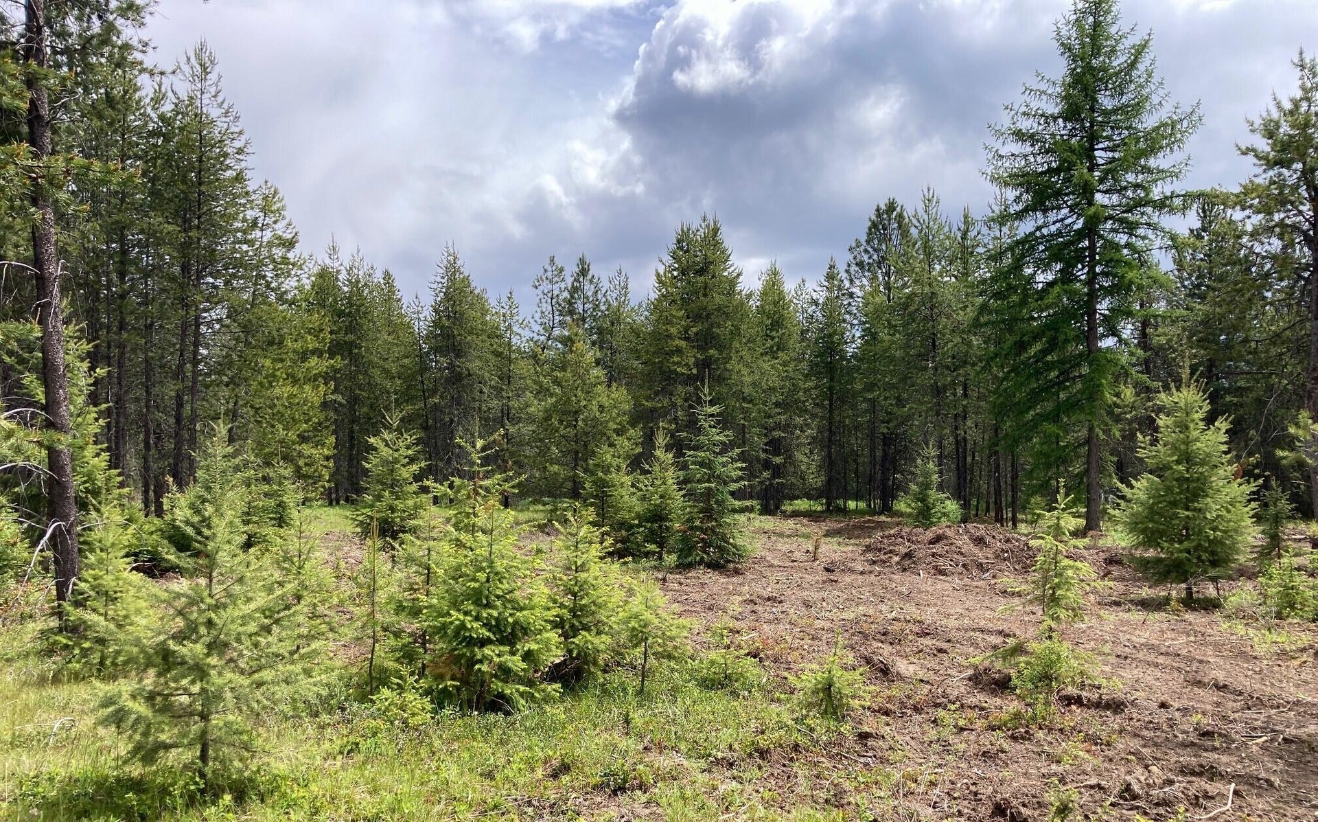 
                        Property photograph at
                        1496 E HWY 20 XX
                      