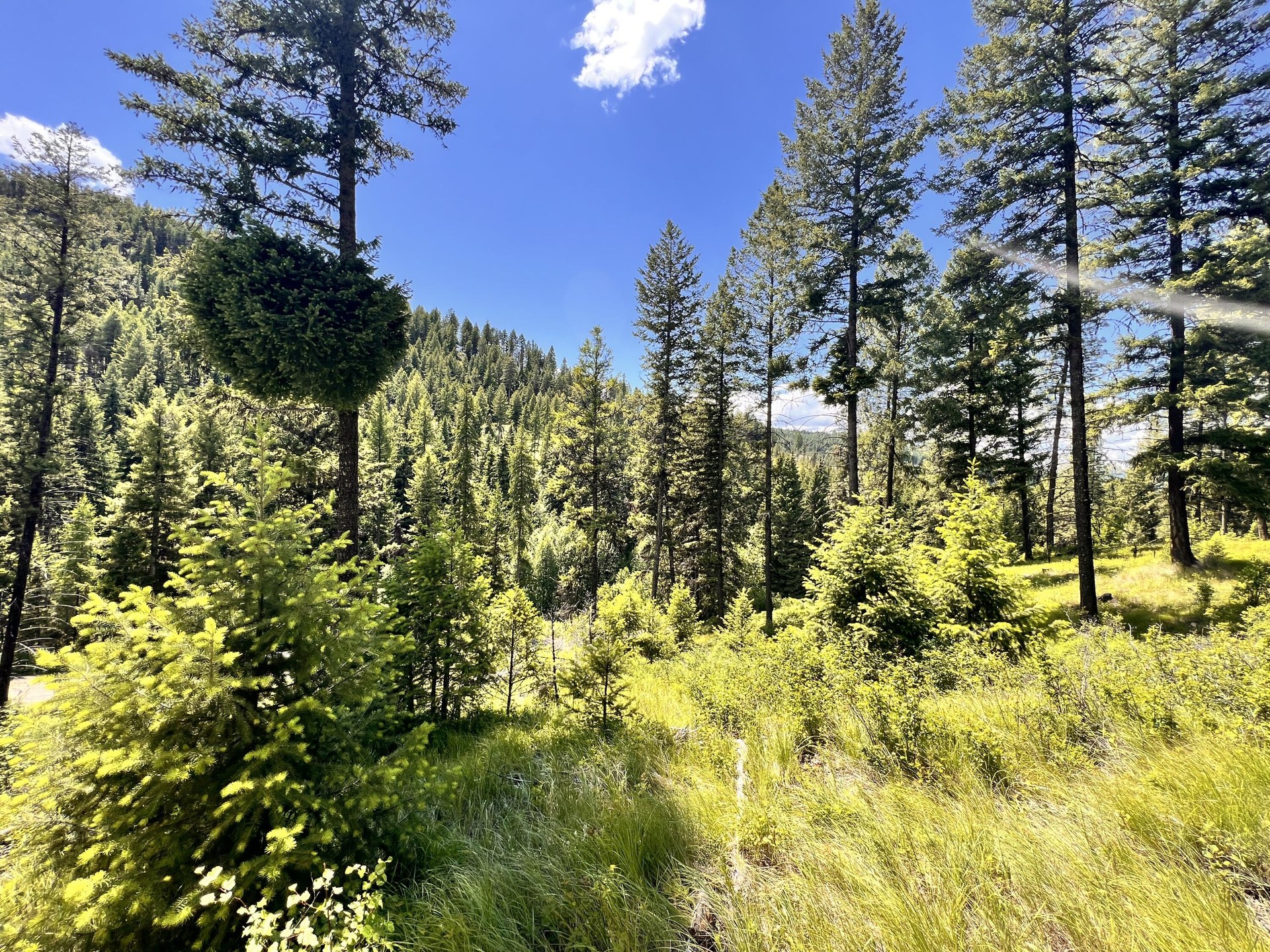
                        Property photograph at
                        TBD OLD KETTLE FALLS RD
                      