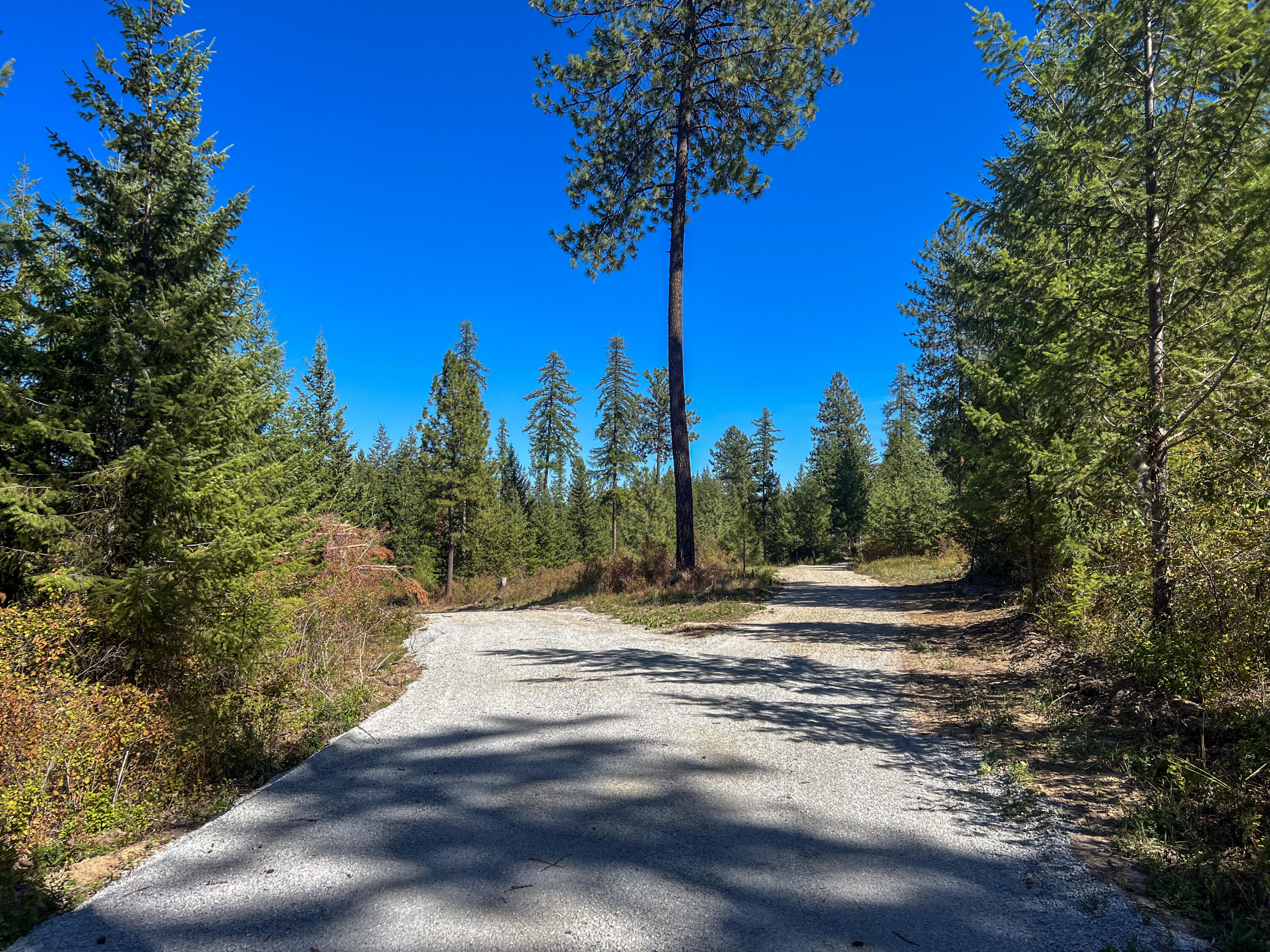 
                        Property photograph at
                        52XX LOT 5 S SWENSON RD
                      